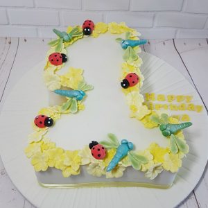 Number 1 shape butterflies and dragonflies first birthday cake - Tamworth