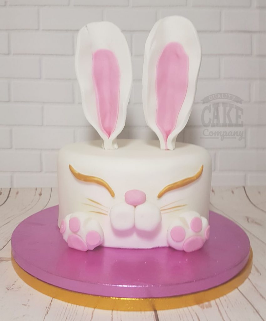 bunny rabbit head novelty cake - tamworth
