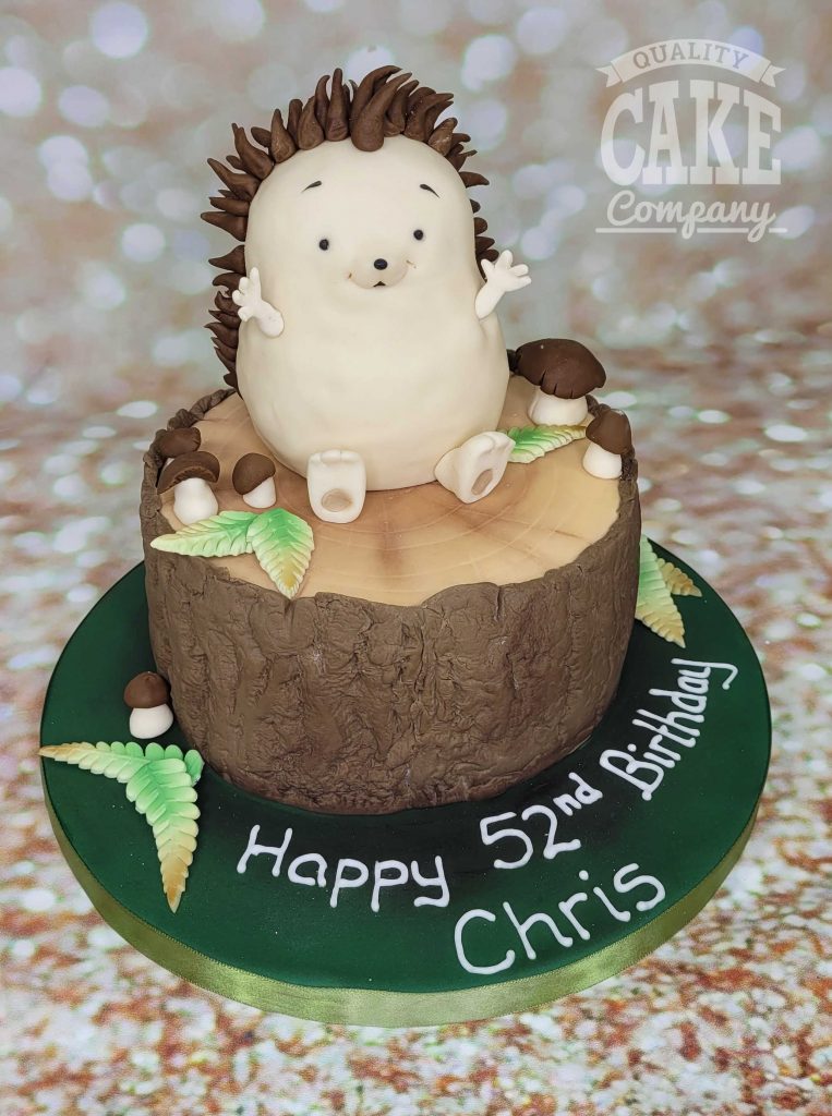 Chunky hedgehog birthday cake - tamworth