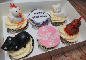 chickens and cats animal theme cupcakes - Tamworth