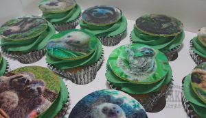 sloth printed cupcakes - tamworth