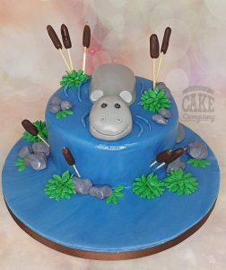 cute hippo animal theme birthday cake - Tamworth