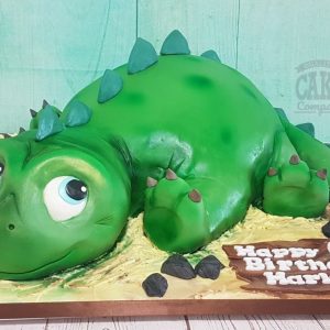 Cute novelty sculpted birthday cake - Tamworth
