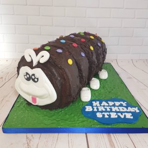 giant colin caterpillar novelty birthday cake - Tamworth