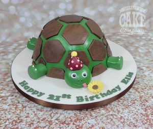 party tortoise novelty shaped cake - tamworth