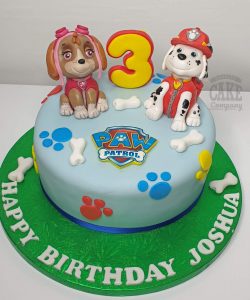 paw patrol skye marshall models birthday cake - Tamworth