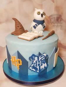 blue harry potter theme cake - Tamworth