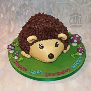 hedgehog shaped birthday cake - tamworth