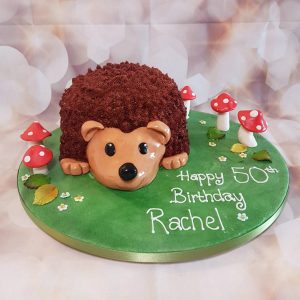 hedgehog shaped birthday cake - tamworth