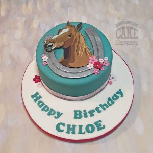 horse theme cake teal - Tamworth