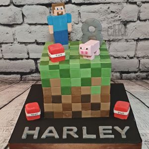 minecraft blocks cake - Tamworth