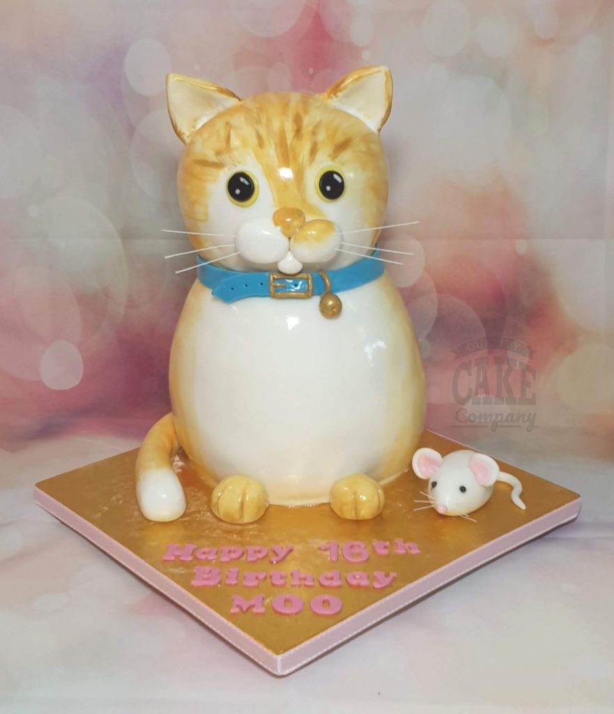 novelty sculpted cat cake - Tamworth