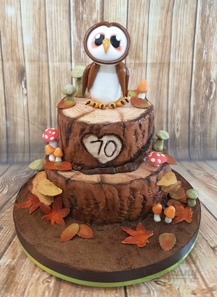 two tier owl woodland theme birthday cake - Tamworth