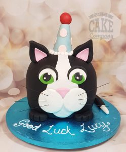 party cat novelty shaped cake - tamworth
