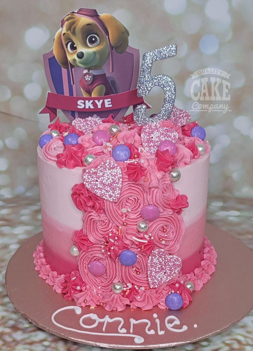 PAW Patrol Skye Birthday Cake Topper | Paw patrol birthday cake, Birthday  cake kids, Homemade birthday cakes