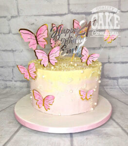 butterfly 21st birthday cake - Tamworth